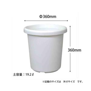 アップルウェアー 長鉢F型12号の詳細画像1