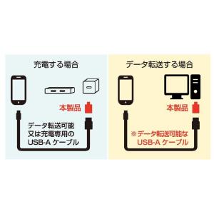 【ポイント5倍】カシムラ USB変換アダプター...の詳細画像3