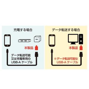【ポイント5倍】カシムラ USB変換アダプター...の詳細画像3