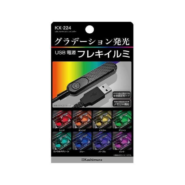 カシムラ USBフレキイルミレインボー KX224