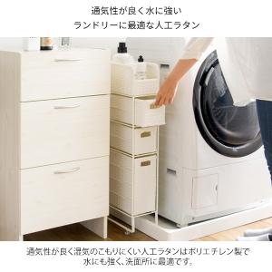 ラタンランドリーチェスト ディアリオ RB-1...の詳細画像3