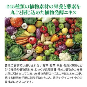 ◆ミナミヘルシーフーズ 酵素+植物性乳酸菌 186球の詳細画像1
