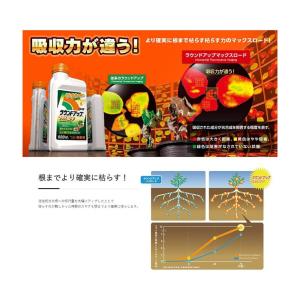 【農薬】日産化学 ラウンドアップマックスロード...の詳細画像2