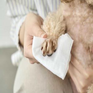 アイリスオーヤマ ペット用 トイレに流せる ウ...の詳細画像2