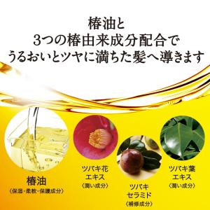 大島椿 プレミアムシャンプー 300mlの詳細画像3