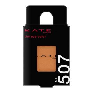 カネボウ KATE（ケイト） ザ アイカラー CT507 シナモン
