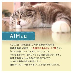 【ポイント10倍】マルカン AIM30 マグロ...の詳細画像2