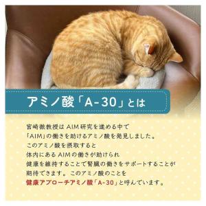 【ポイント10倍】マルカン AIM30 マグロ...の詳細画像3