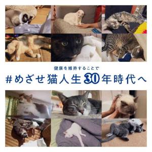 【ポイント10倍】マルカン AIM30 マグロ...の詳細画像5