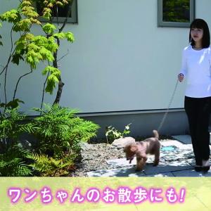 大日産業 消臭袋 50枚の詳細画像3