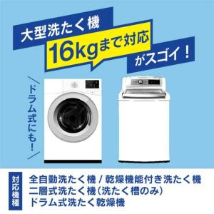 電響社 電器屋さんが考えた濃縮酸素系洗たく槽ク...の詳細画像3
