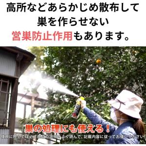 住友化学園芸 ハチ・アブエアゾール 480mlの詳細画像2