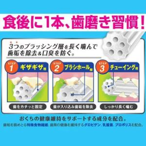 ドギーマン ホワイデント長持ち歯みがきギザ棒ガ...の詳細画像3