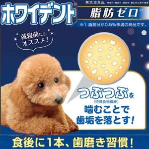 ドギーマン ホワイデント脂肪ゼロS 125gの詳細画像2