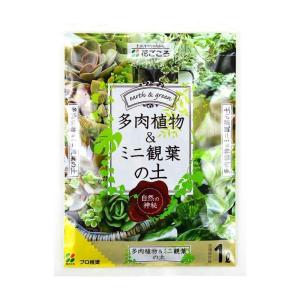 花ごころ 多肉植物&ミニ観葉の土 1Lの商品画像