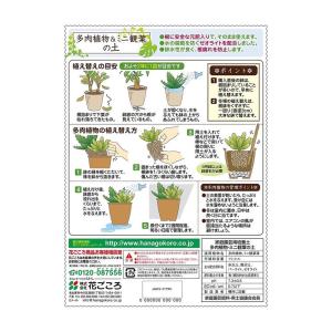 花ごころ 多肉植物&ミニ観葉の土 1Lの詳細画像1