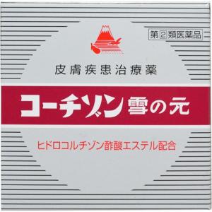 コーチゾン雪の元 15g
