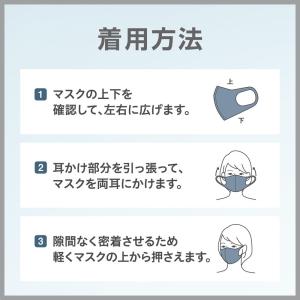 アラクス PITTA MASK(ピッタマスク)...の詳細画像4