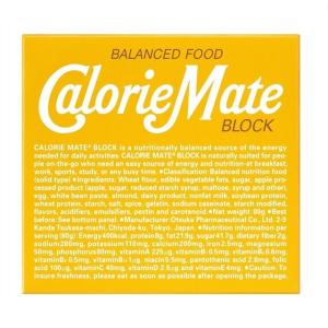 【廃盤】◆大塚製薬 カロリーメイト ブロック プレーン 4本入り【10個セット】