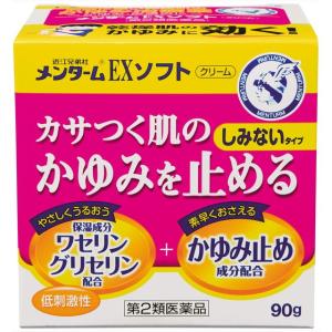 【第2類医薬品】メンタームEXソフト 90g【セルフメディケーション税制対象】｜サンドラッグe-shop