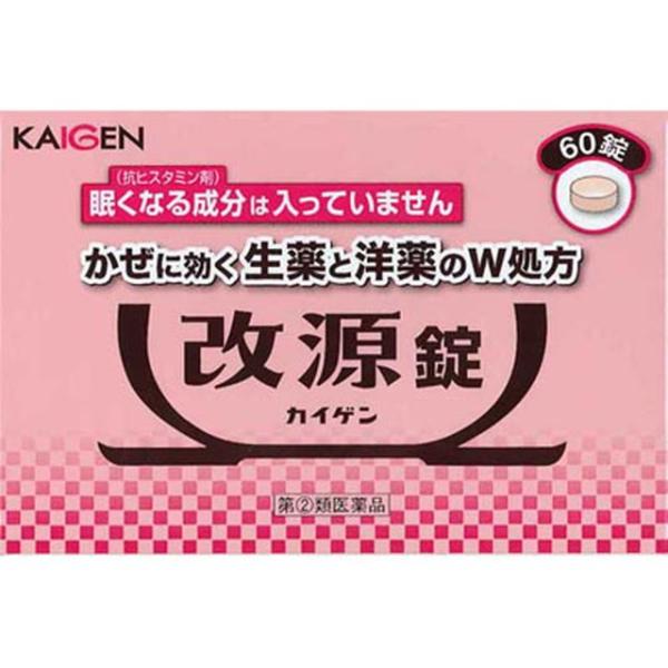 【指定第2類医薬品】改源錠（カイゲン） 60錠 【セルフメディケーション税制対象】