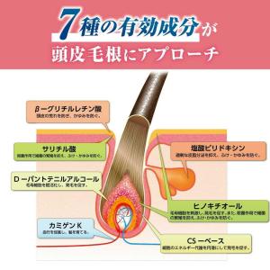 【医薬部外品】加美乃素本舗 薬用レディース加美...の詳細画像3