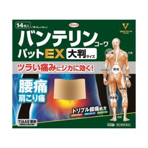 バンテリンコーワパットEX 大判サイズ 14枚
