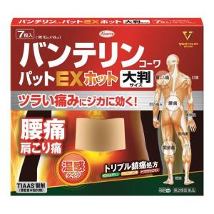 バンテリンコーワパットＥＸホットの商品画像