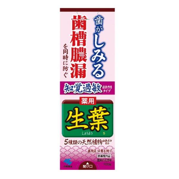 【医薬部外品】小林製薬 生葉 知覚過敏症状予防タイプ 100g