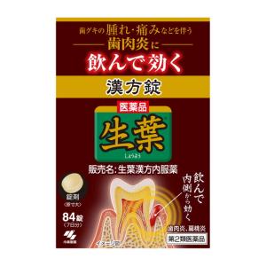 【第2類医薬品】生葉 漢方内服薬 84錠の商品画像