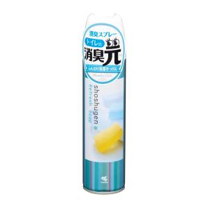 小林製薬 消臭元スプレー ふんわり清潔せっけん 280ml｜sundrugec