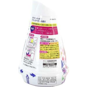 小林製薬 サワデーハッピー ブラックベリー 120gの詳細画像1