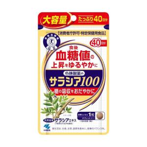 【ポイント15倍】◆【特定保健用食品(トクホ)】小林製薬 サラシア100 大容量 40日分 【2個セット】