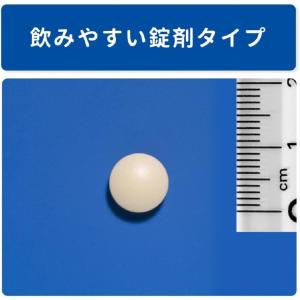 【第3類医薬品】トラフル錠 24錠の詳細画像3