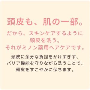 【医薬部外品】第一三共ヘルスケア ミノン 薬用...の詳細画像2