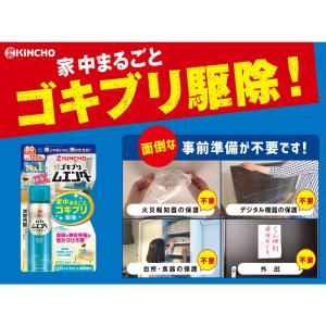【防除用医薬部外品】大日本除虫菊 ゴキブリムエ...の詳細画像2