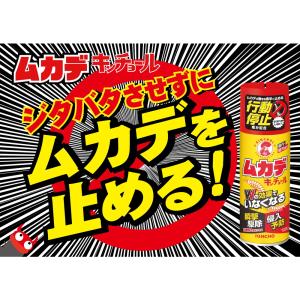 ムカデキンチョール行動停止プラス 300mlの詳細画像1