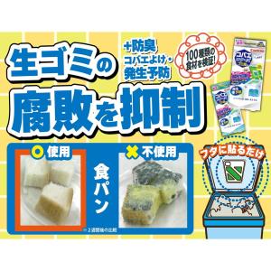 大日本除虫菊 KINCHO コバエコナーズ ゴ...の詳細画像1