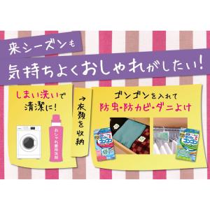大日本除虫菊 ゴンゴン 洋服ダンス用 無臭タイ...の詳細画像1