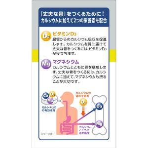 【第2類医薬品】新カルシチュウD3 100錠の詳細画像2