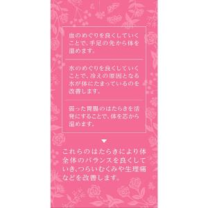 【第2類医薬品】ルビーナめぐり 120錠の詳細画像2