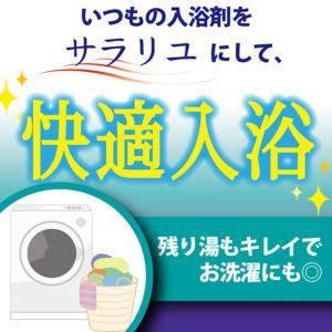 丹平製薬 サラリユ 本体 420gの詳細画像1
