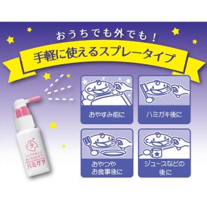 ◆丹平製薬(株) ハミケアピーチ風味 25Gの詳細画像2