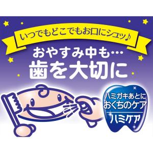 ◆丹平製薬(株) ハミケアピーチ風味 25Gの詳細画像4