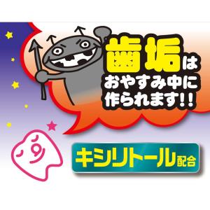 ◆丹平製薬(株) ハミケアピーチ風味 25Gの詳細画像5