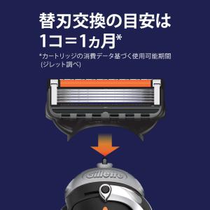 P&G ジレット プログライドマニュアル5Bホ...の詳細画像4