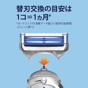 P&G ジレット スキンガードマニュアル5Bホ...の詳細画像4