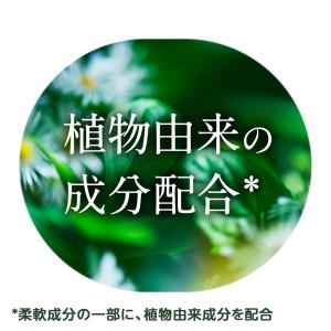 【ポイント10倍】P&G さらさ 柔軟...の詳細画像1