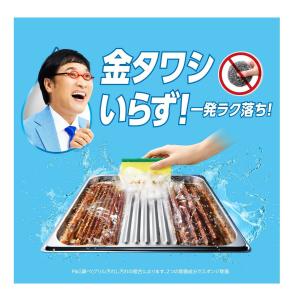 P&G ジョイ W除菌 食器用洗剤 さ...の詳細画像2