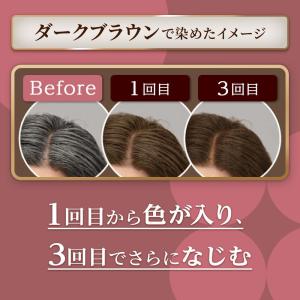 【ポイント6倍】ホーユー シエロ カラートリー...の詳細画像1